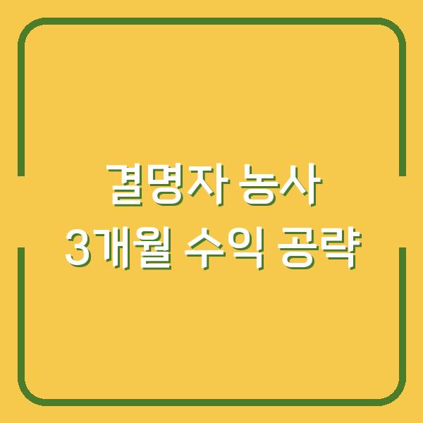 결명자 농사 심는 시기부터 수확까지 3개월 수익 내는 방법