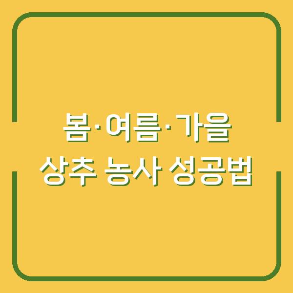 봄·여름·가을 상추 농사 실패 없이 심는 시기와 모종 정식·파종 방법