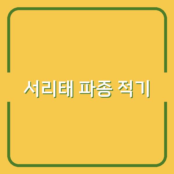 서리태 심는 시기 하루라도 늦으면 수확량이 반토막? 검정콩 파종 실패 막는 핵심 타이밍