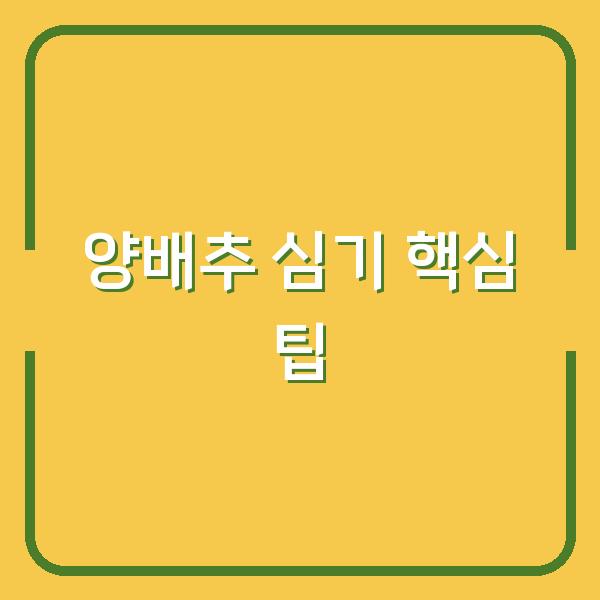 양배추 심는 시기 놓치면 수확 실패? 모종 심기 3가지 핵심 팁