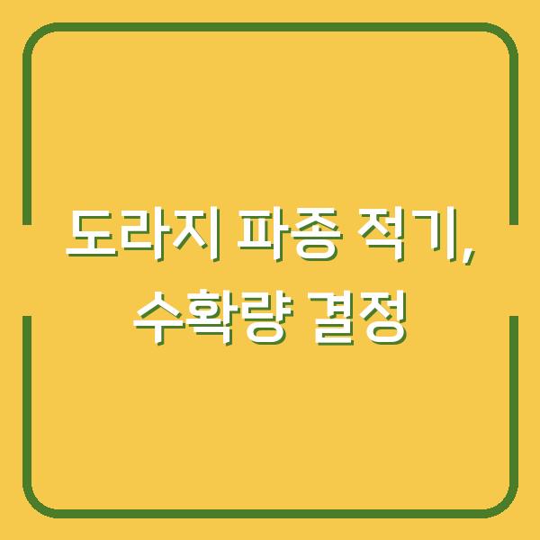 도라지 심는 시기 놓치면 수확량 반토막…지금 씨앗 파종해야 하는 이유