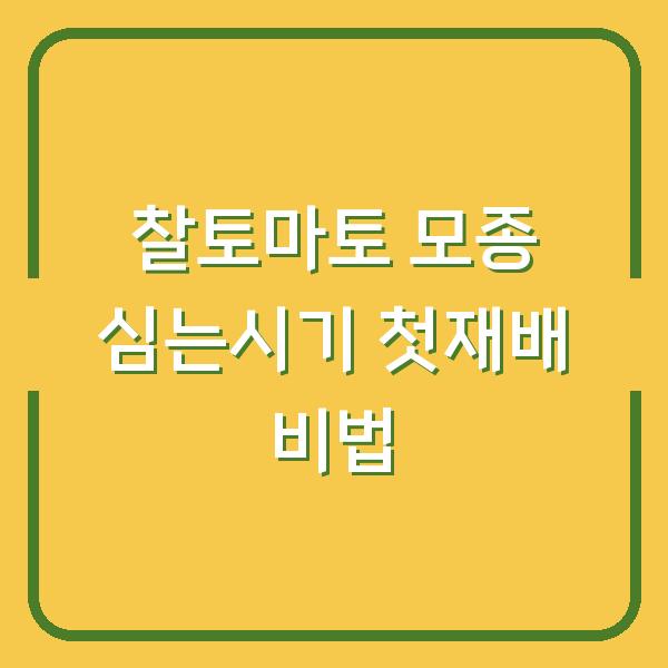 찰토마토 모종 심는시기 초보자도 실패 없는 첫 재배 비법