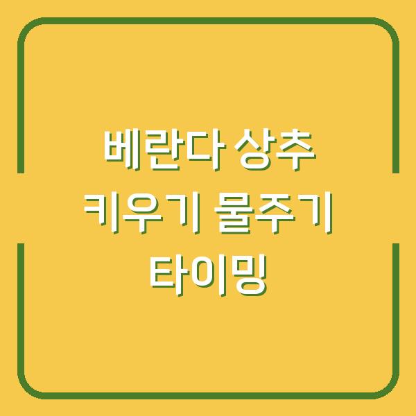 아파트 베란다 상추 키우기 씨앗 발아 실패 없이 물주는 타이밍까지
