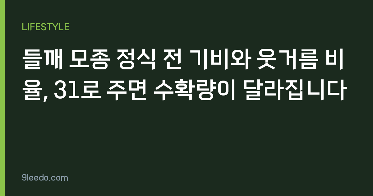 들깨 모종 정식 전 기비와 웃거름 비율, 31로 주면 수확량이 달라집니다