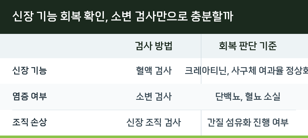 신장 기능 회복 확인, 소변 검사만으로 충분할까