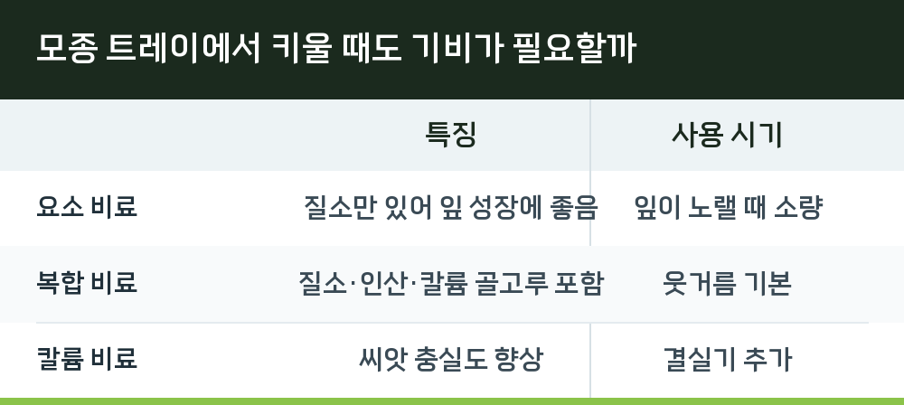 모종 트레이에서 키울 때도 기비가 필요할까