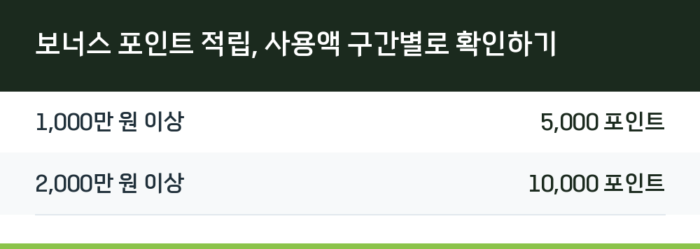 보너스 포인트 적립, 사용액 구간별로 확인하기