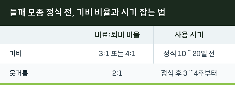 들깨 모종 정식 전, 기비 비율과 시기 잡는 법