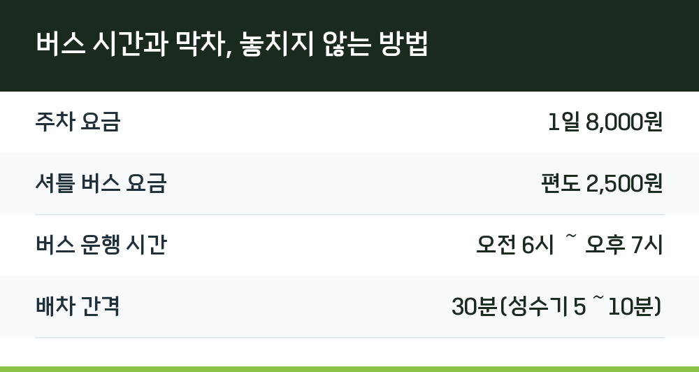 버스 시간과 막차, 놓치지 않는 방법