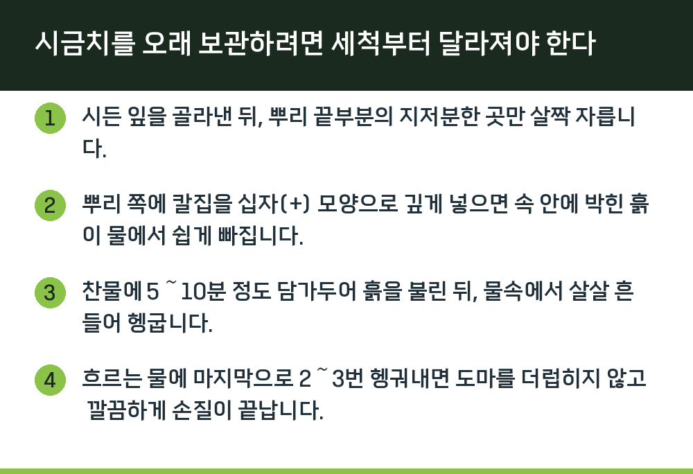 시금치를 오래 보관하려면 세척부터 달라져야 한다
