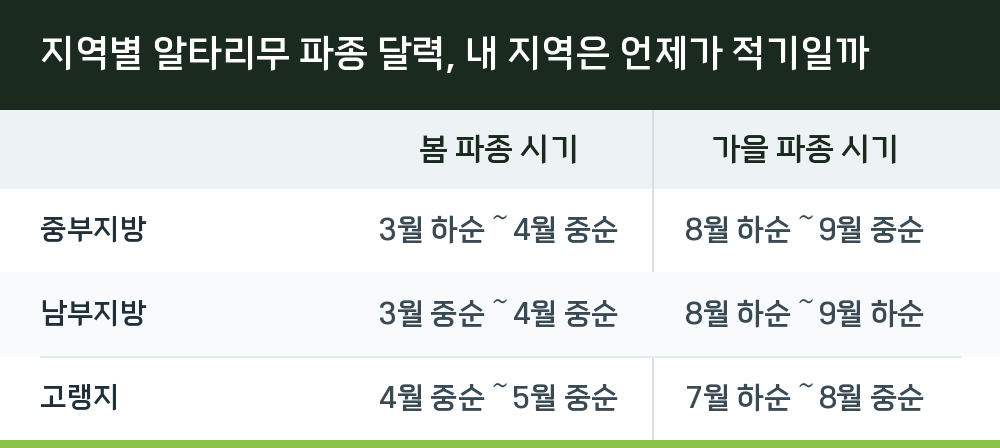 지역별 알타리무 파종 달력, 내 지역은 언제가 적기일까