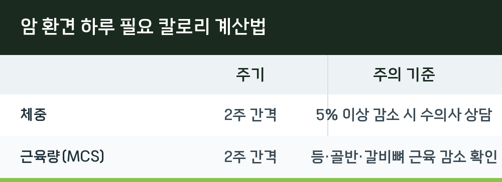 암 환견 하루 필요 칼로리 계산법